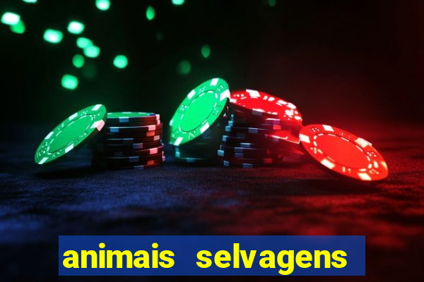 animais selvagens fotos e nomes